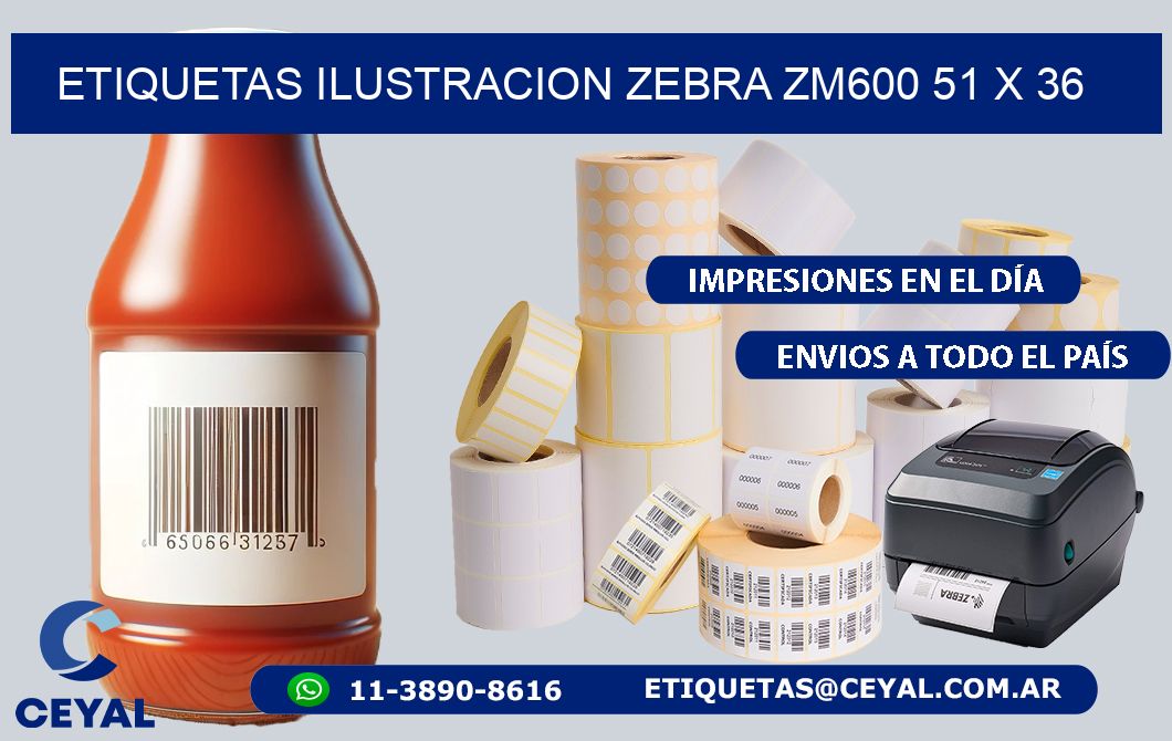 ETIQUETAS ILUSTRACION ZEBRA ZM600 51 x 36
