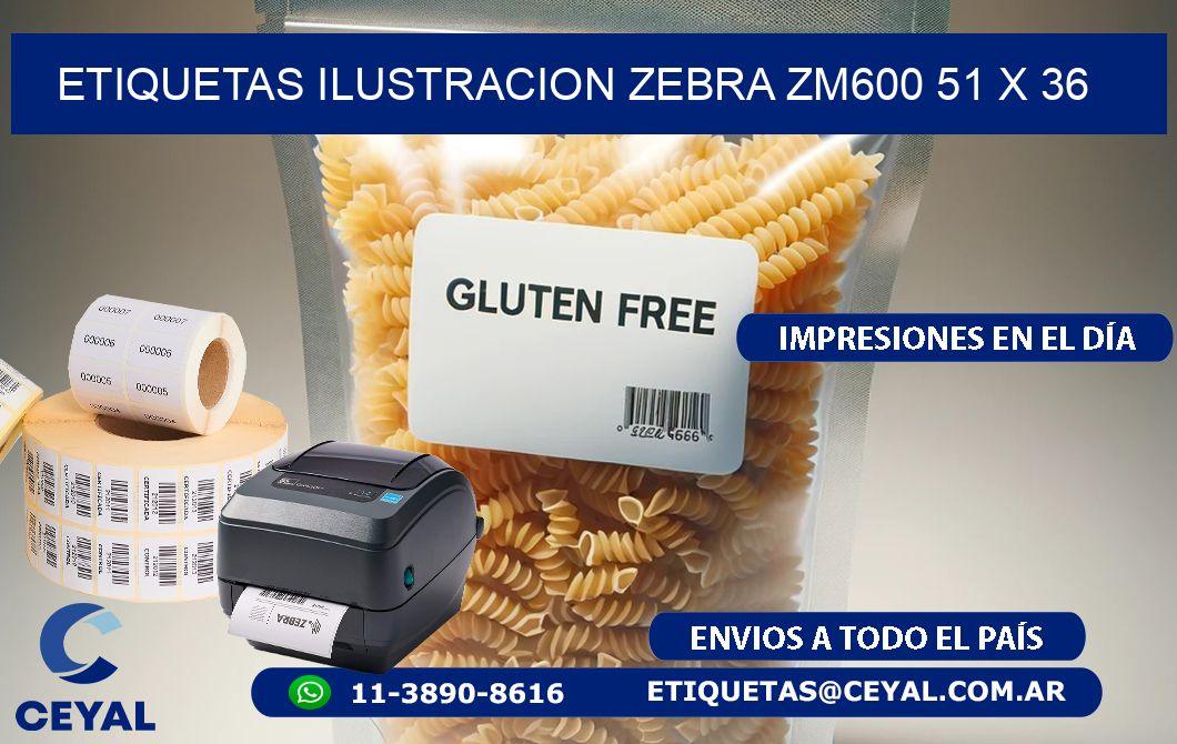 ETIQUETAS ILUSTRACION ZEBRA ZM600 51 x 36