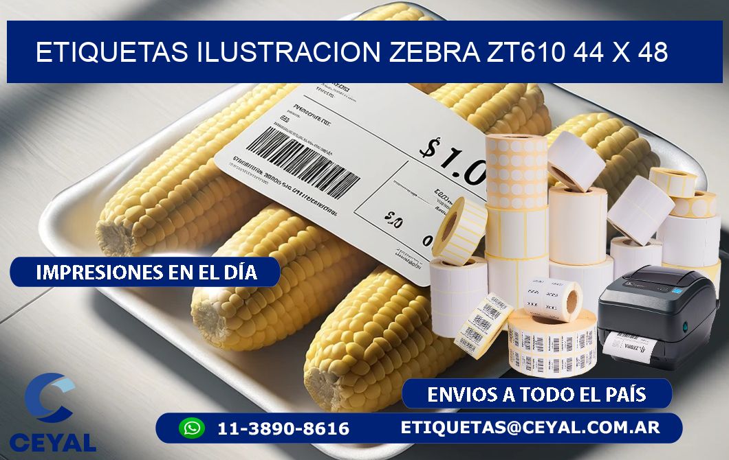 ETIQUETAS ILUSTRACION ZEBRA ZT610 44 x 48