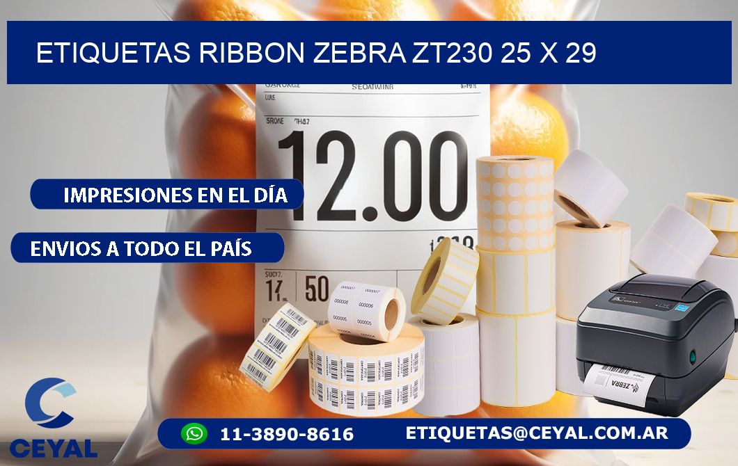 ETIQUETAS RIBBON Zebra ZT230 25 x 29