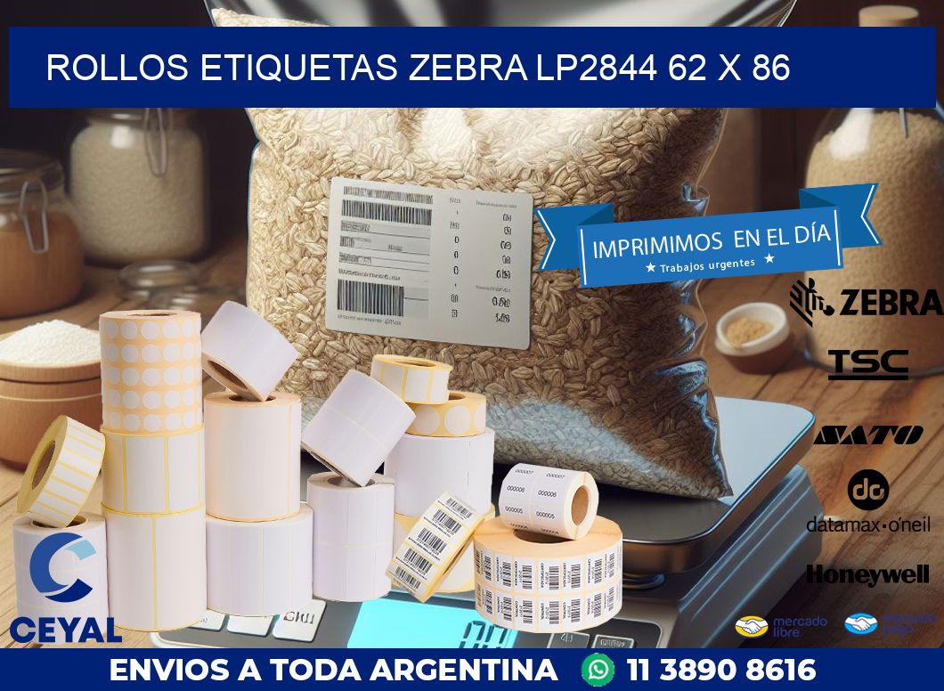 ROLLOS ETIQUETAS Zebra LP2844 62 x 86