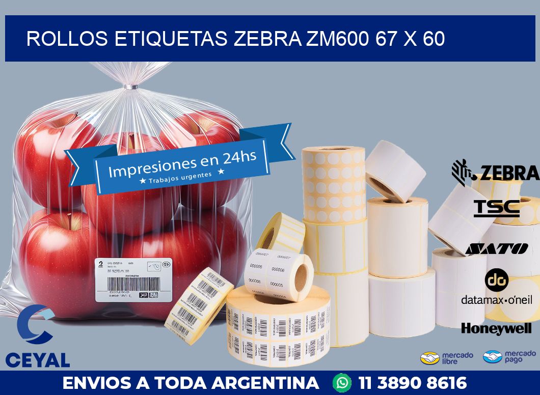 ROLLOS ETIQUETAS Zebra ZM600 67 x 60