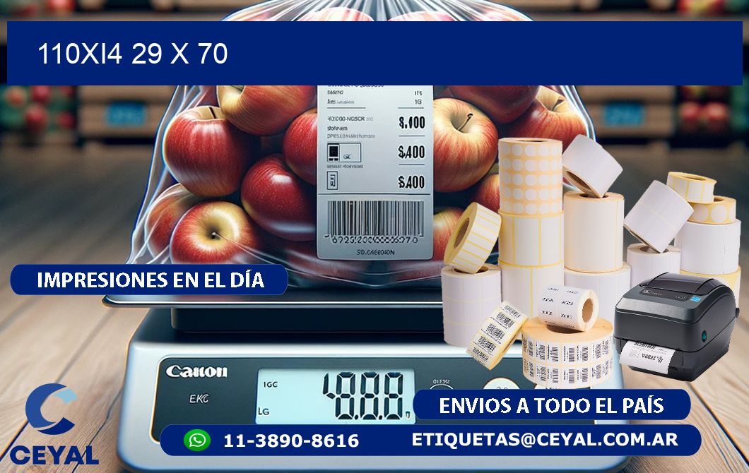 110Xi4 29 x 70