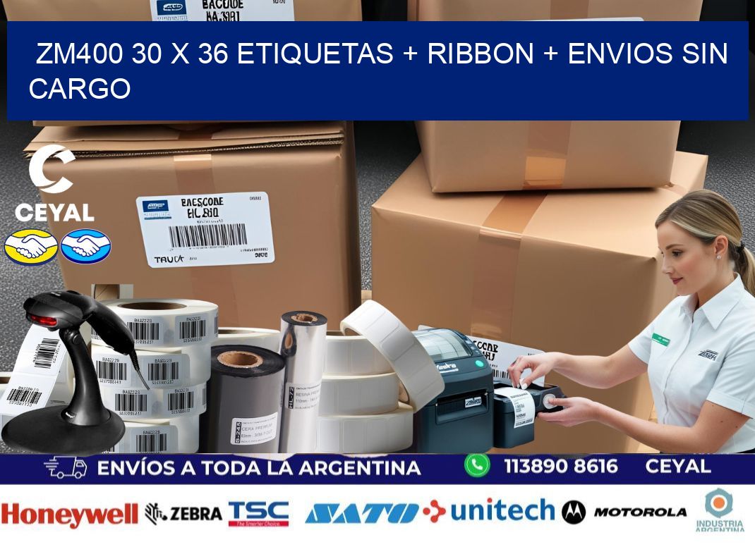 ZM400 30 x 36 etiquetas + ribbon + envios sin cargo