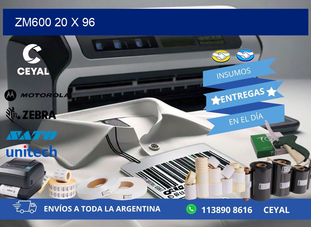 ZM600 20 x 96