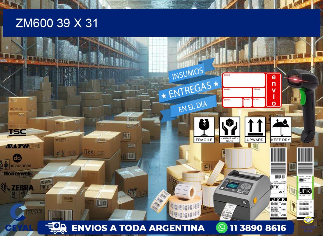 ZM600 39 x 31