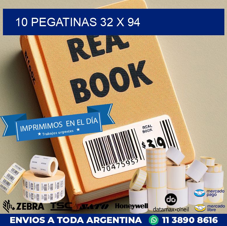 10 PEGATINAS 32 x 94