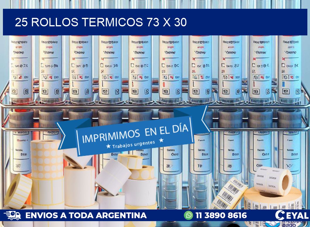 25 ROLLOS TERMICOS 73 x 30