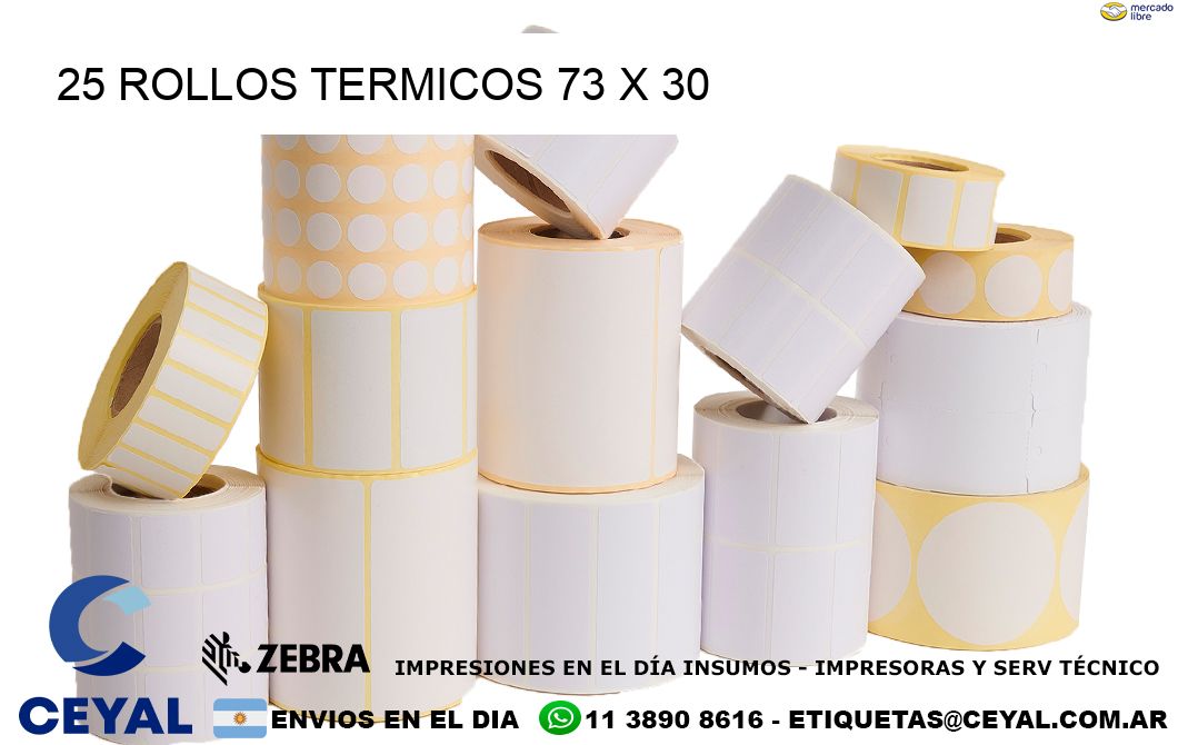 25 ROLLOS TERMICOS 73 x 30