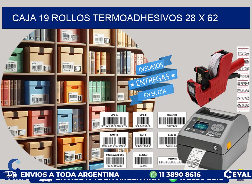 CAJA 19 ROLLOS TERMOADHESIVOS 28 x 62
