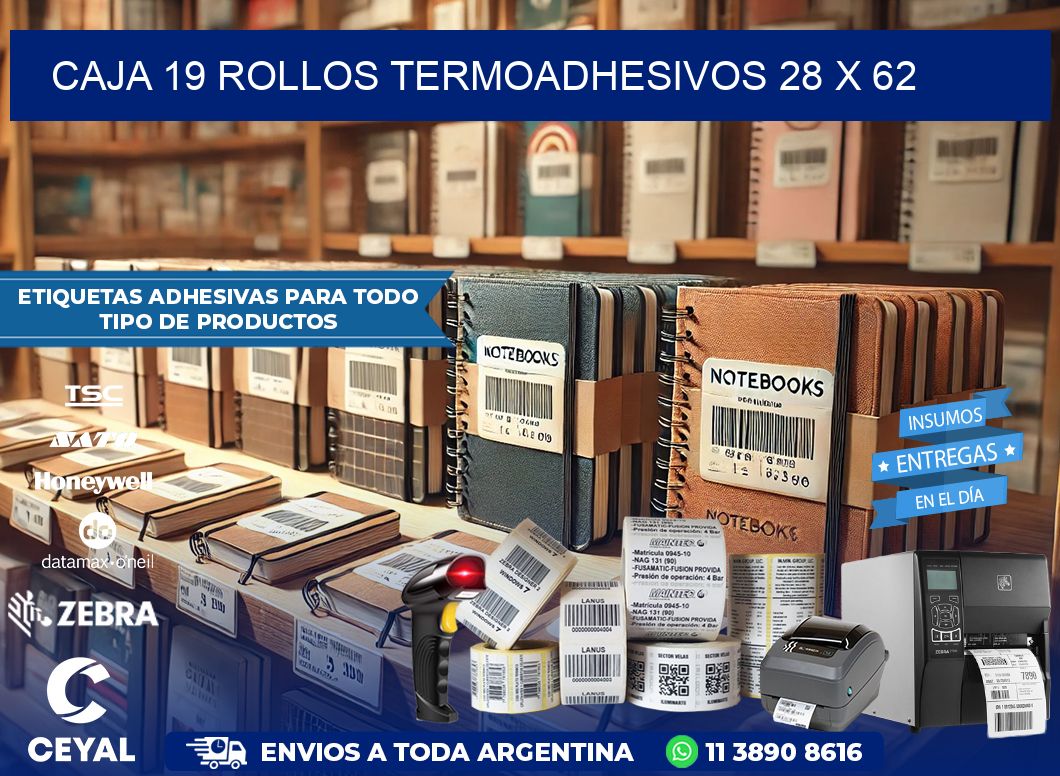 CAJA 19 ROLLOS TERMOADHESIVOS 28 x 62