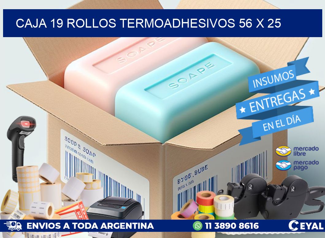 CAJA 19 ROLLOS TERMOADHESIVOS 56 x 25