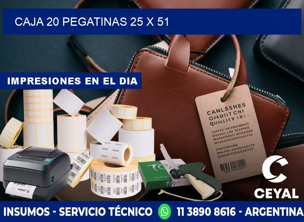 CAJA 20 PEGATINAS 25 x 51