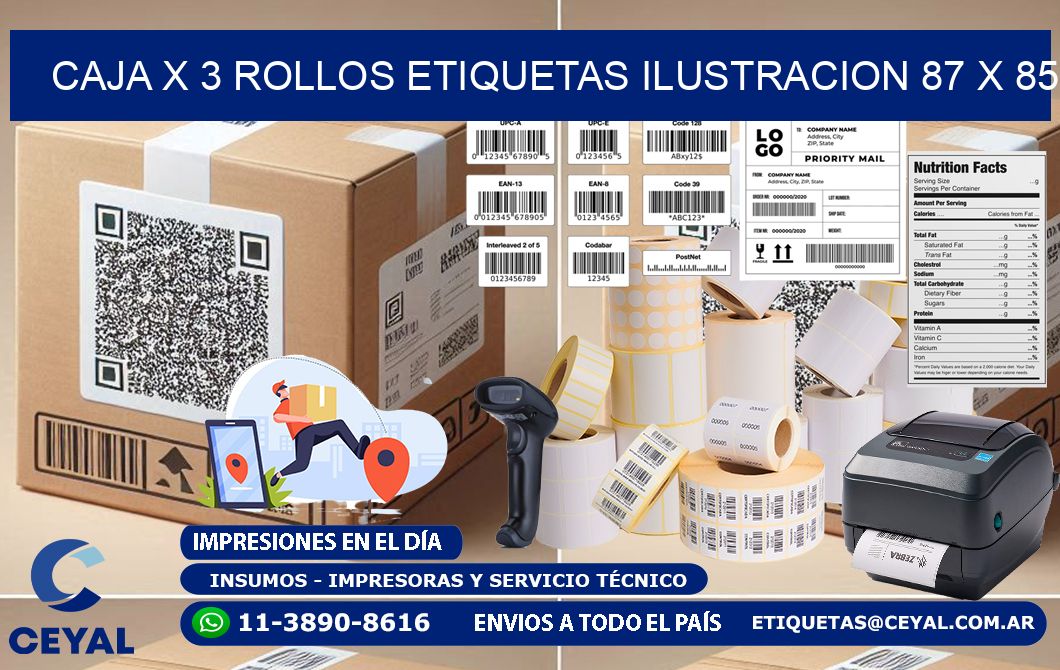 Caja X 3 Rollos Etiquetas Ilustracion 87 x 85