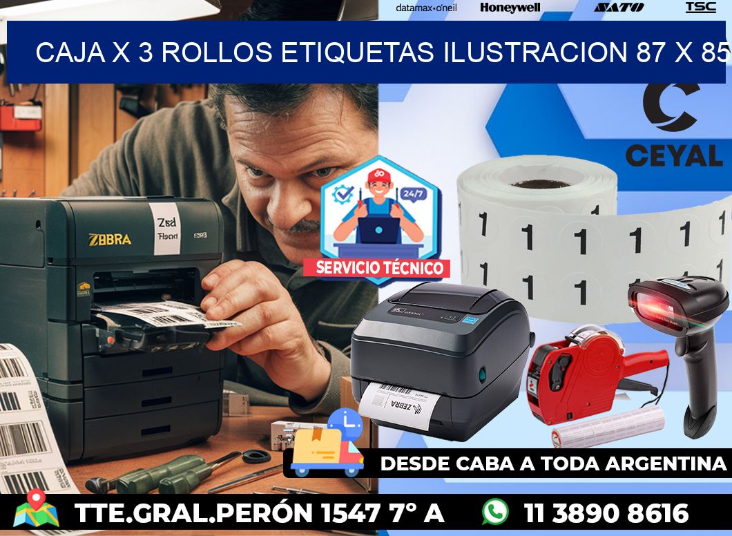 Caja X 3 Rollos Etiquetas Ilustracion 87 x 85