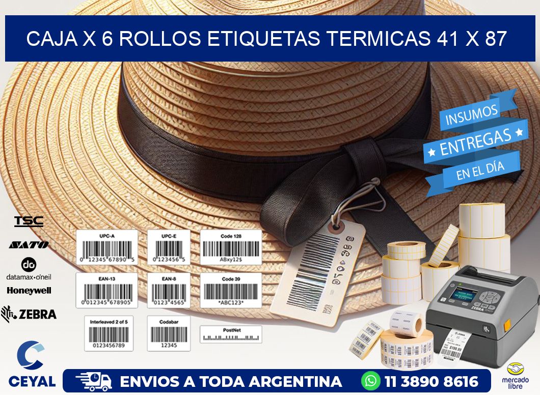 Caja X 6 Rollos Etiquetas termicas 41 x 87