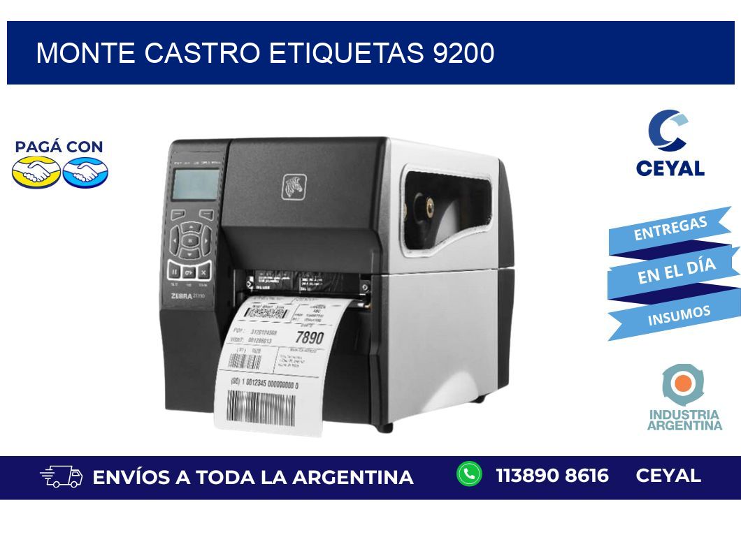 Monte Castro etiquetas 9200