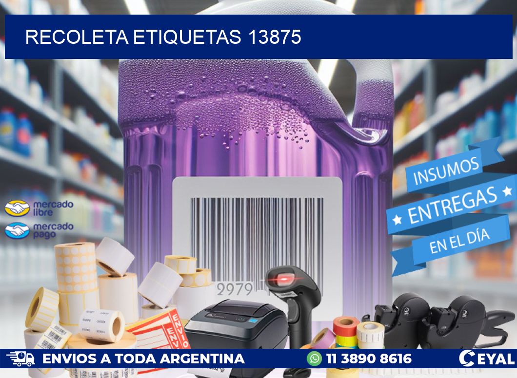Recoleta etiquetas 13875