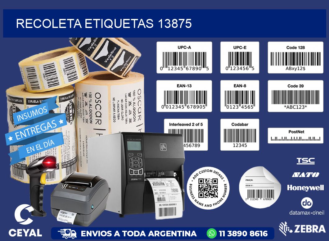 Recoleta etiquetas 13875