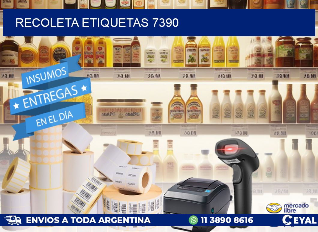 Recoleta etiquetas 7390