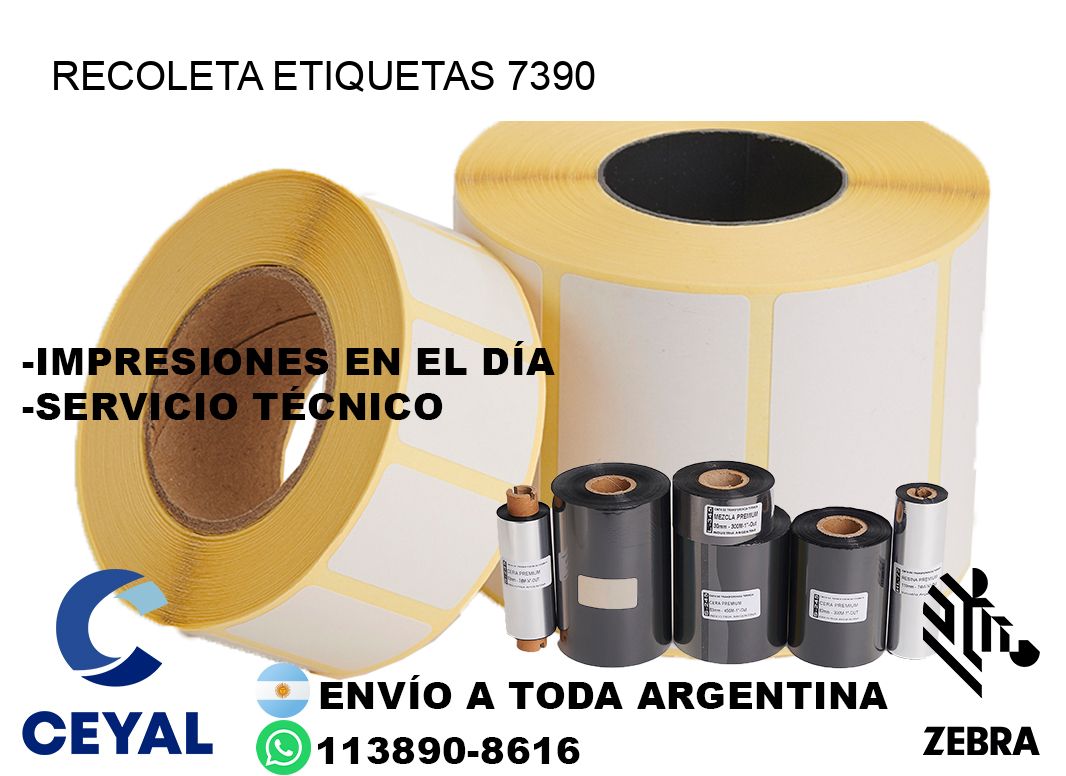 Recoleta etiquetas 7390