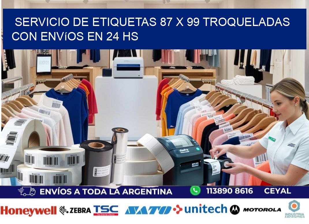 Servicio de etiquetas 87 x 99 troqueladas con envíos en 24 hs