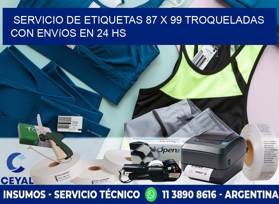 Servicio de etiquetas 87 x 99 troqueladas con envíos en 24 hs