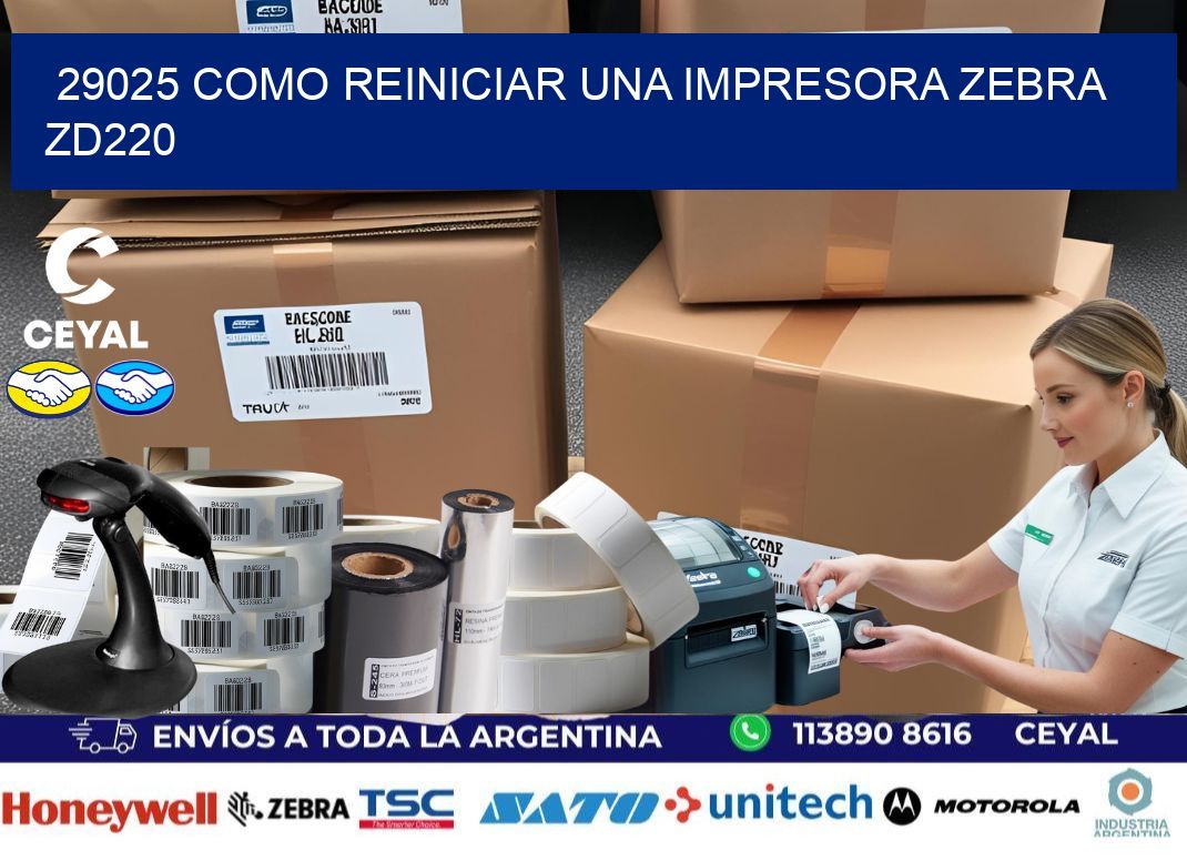 29025 Como reiniciar una impresora Zebra  ZD220