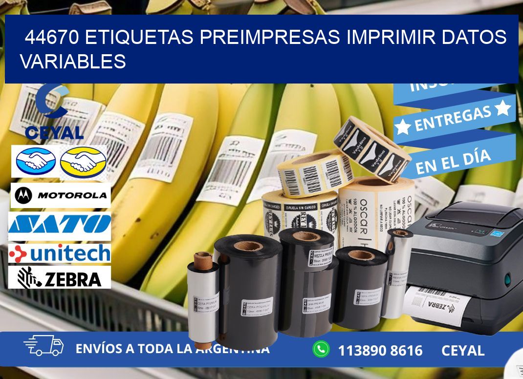44670 Etiquetas preimpresas imprimir datos variables