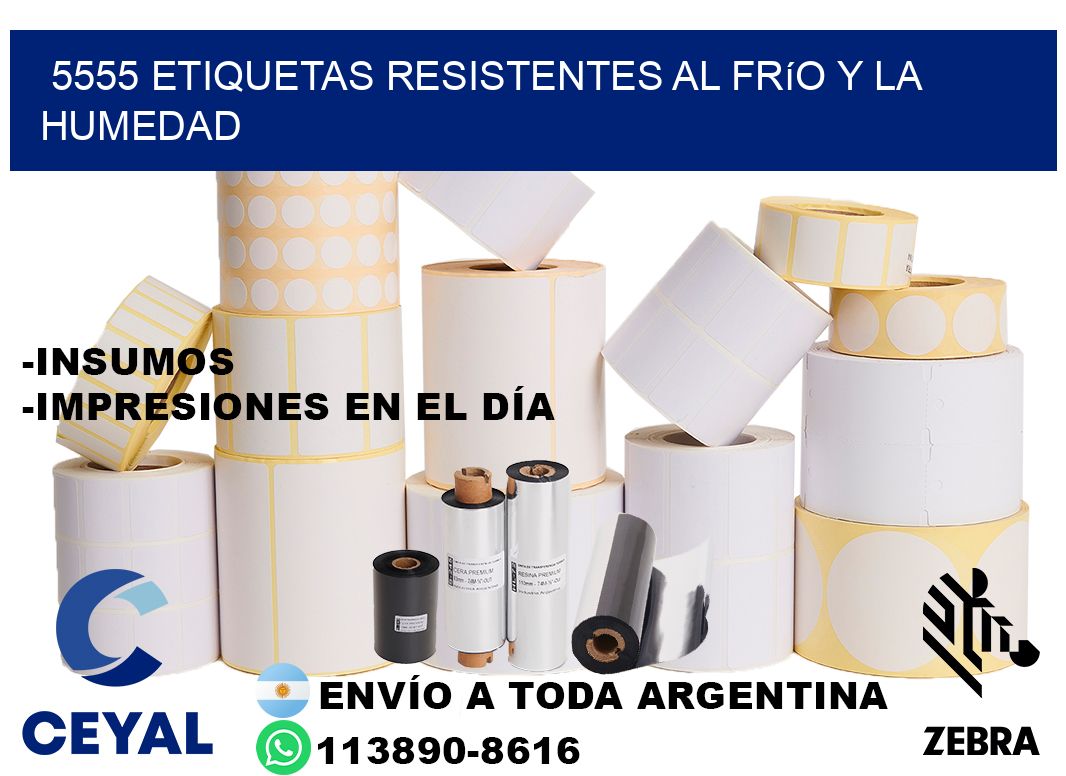 5555 Etiquetas resistentes al frío y la humedad