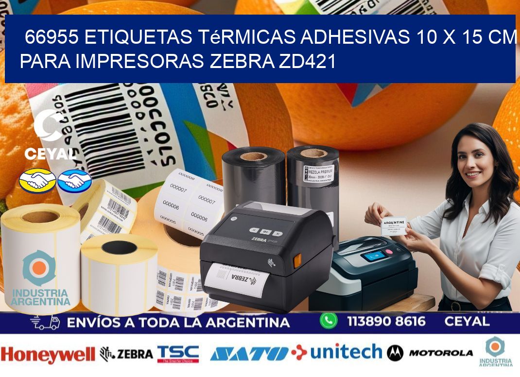 66955 Etiquetas Térmicas Adhesivas 10 x 15 cm para Impresoras Zebra ZD421