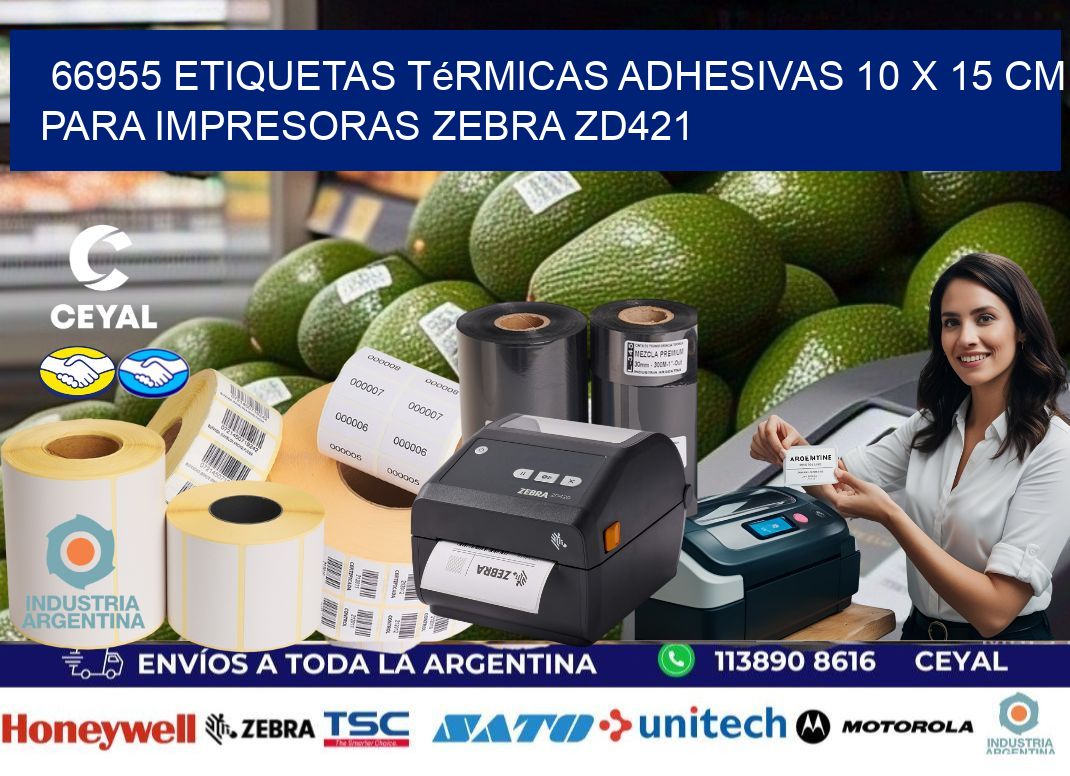 66955 Etiquetas Térmicas Adhesivas 10 x 15 cm para Impresoras Zebra ZD421