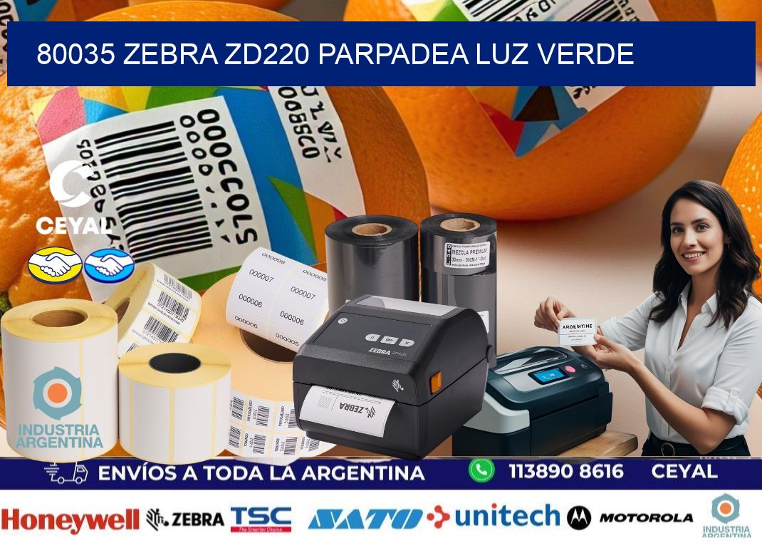 80035 Zebra ZD220 parpadea luz verde
