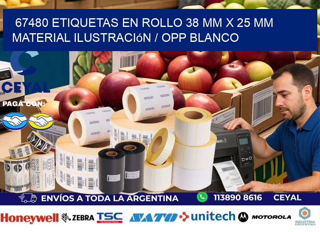 67480 Etiquetas en rollo 38 mm x 25 mm material Ilustración / OPP Blanco