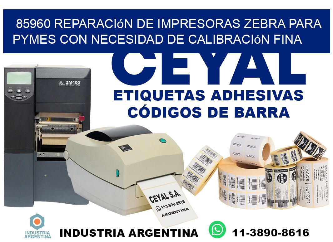 85960 reparación de impresoras zebra para pymes con necesidad de calibración fina