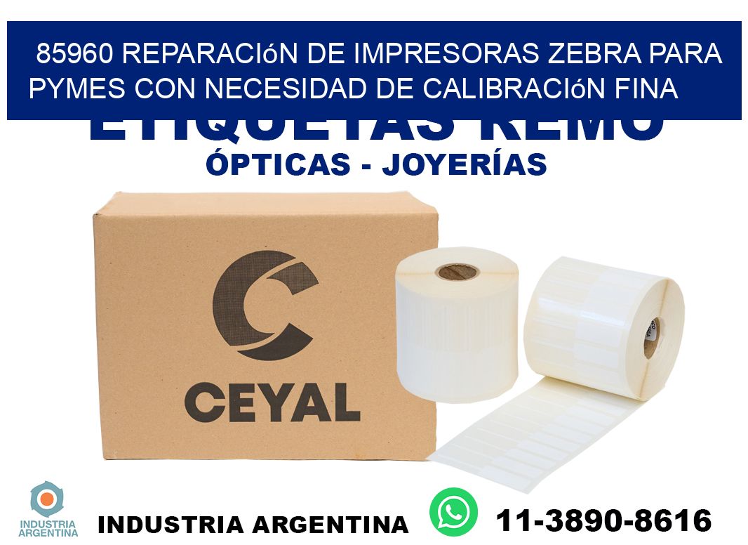 85960 reparación de impresoras zebra para pymes con necesidad de calibración fina