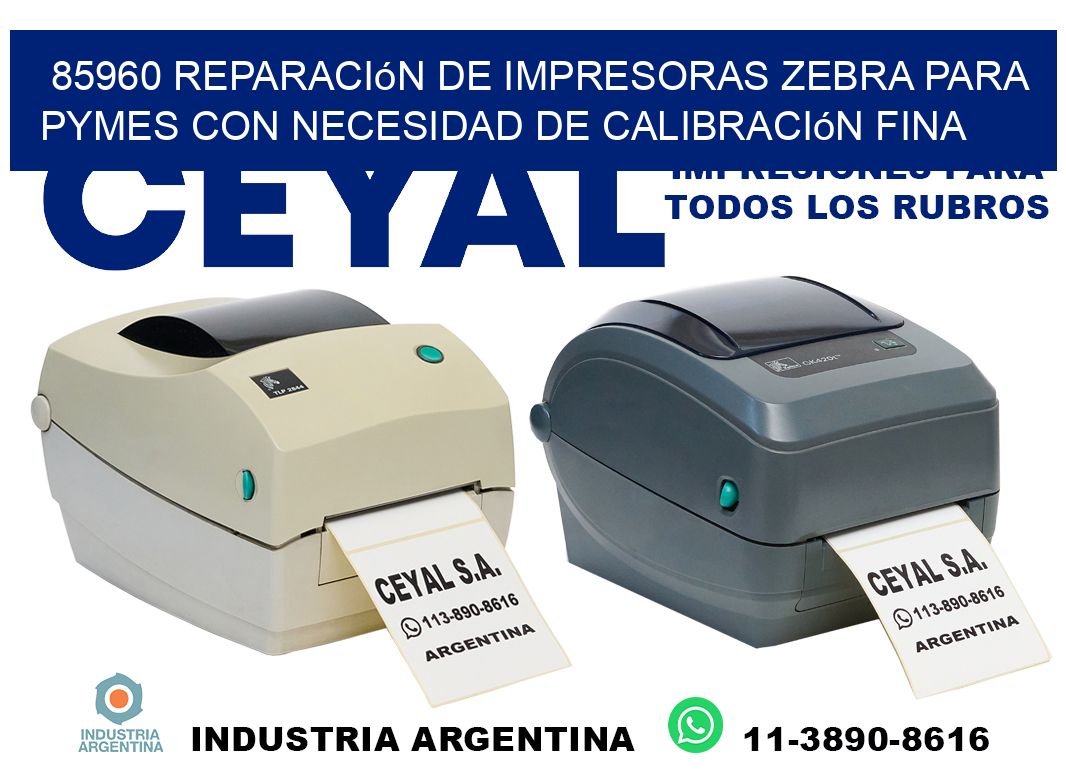 85960 reparación de impresoras zebra para pymes con necesidad de calibración fina