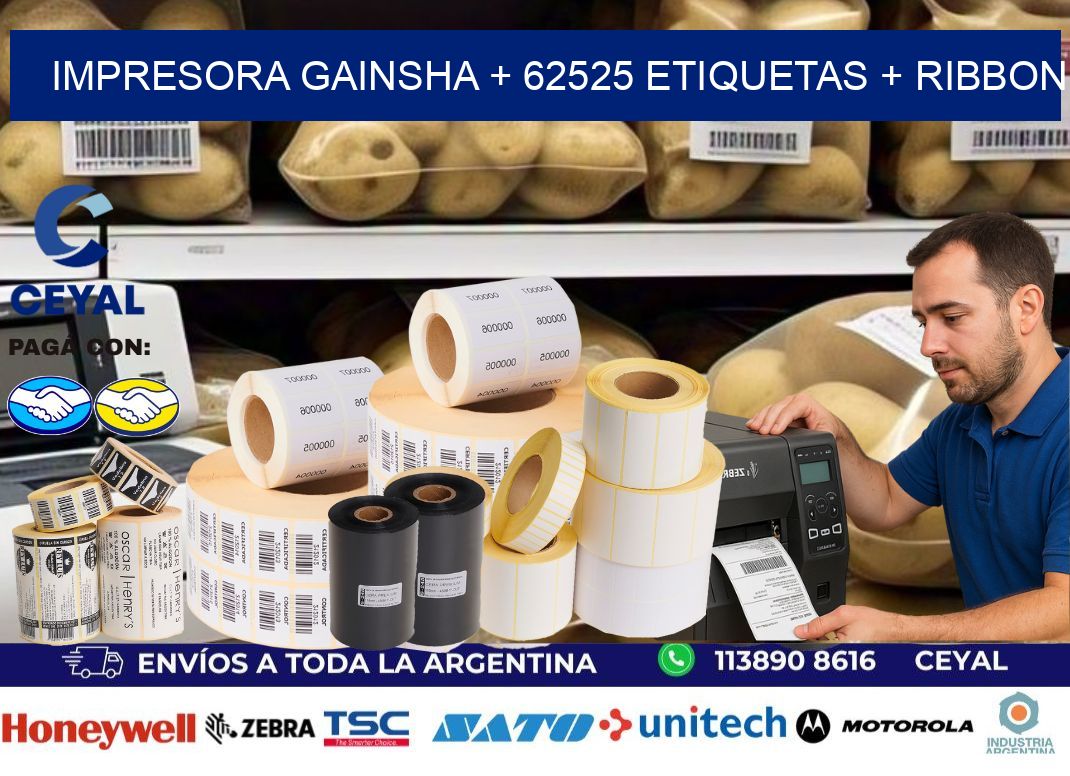 impresora gainsha + 62525 etiquetas + ribbon