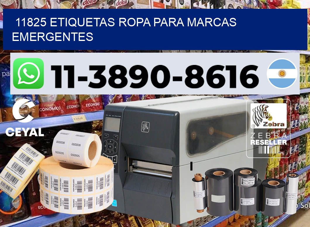 11825 Etiquetas ropa para marcas emergentes