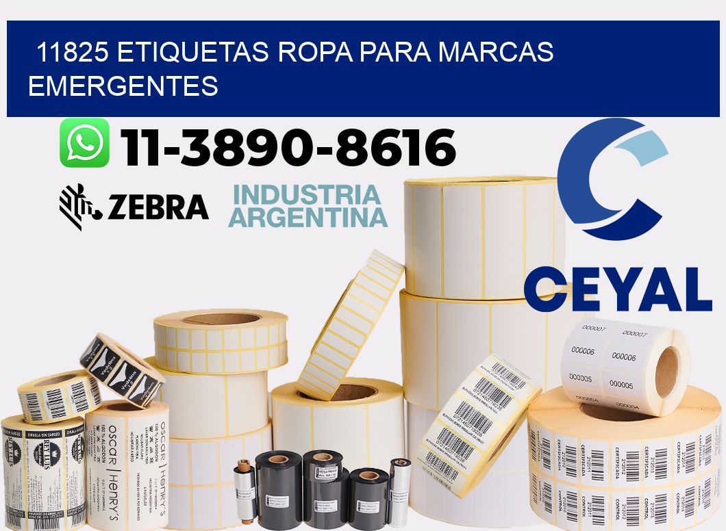 11825 Etiquetas ropa para marcas emergentes