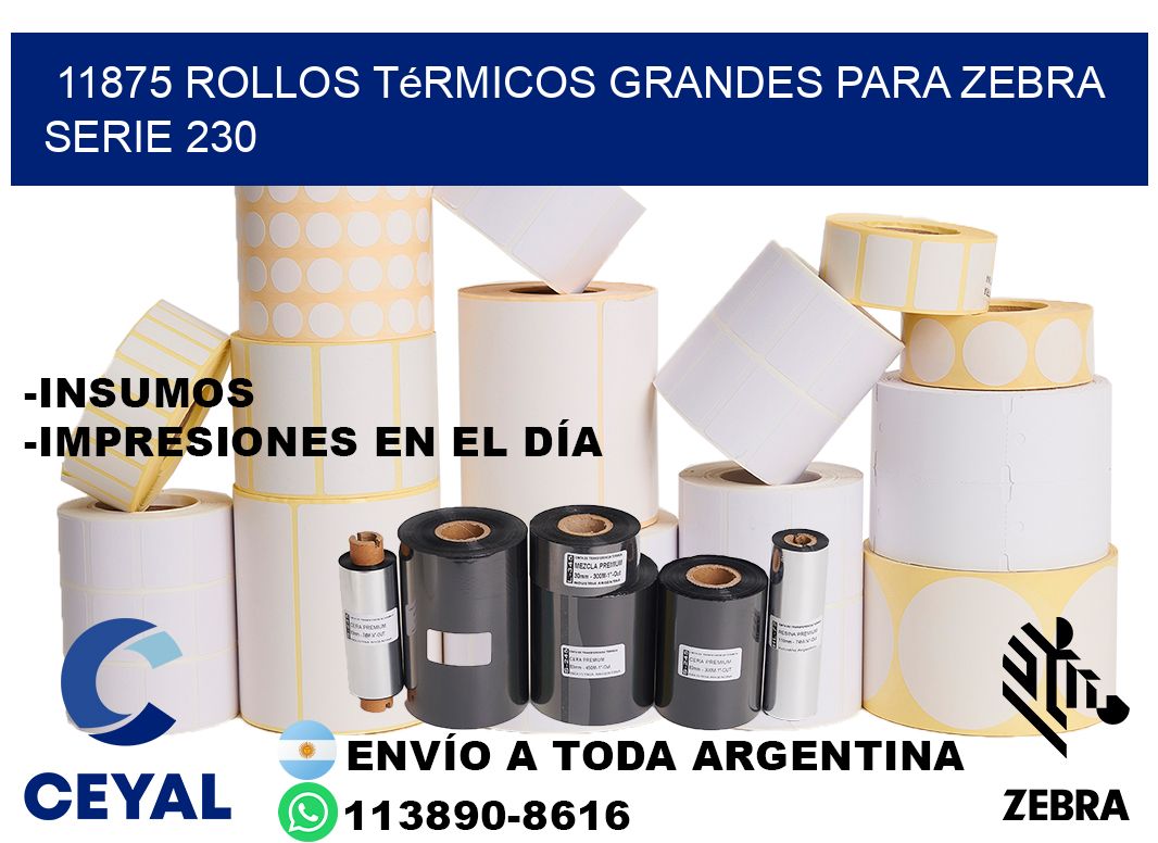 11875 rollos térmicos grandes para zebra serie 230