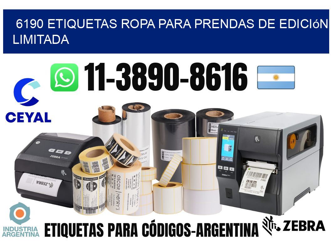 6190 Etiquetas ropa para prendas de edición limitada