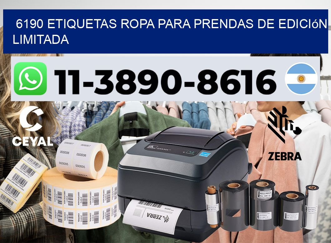 6190 Etiquetas ropa para prendas de edición limitada