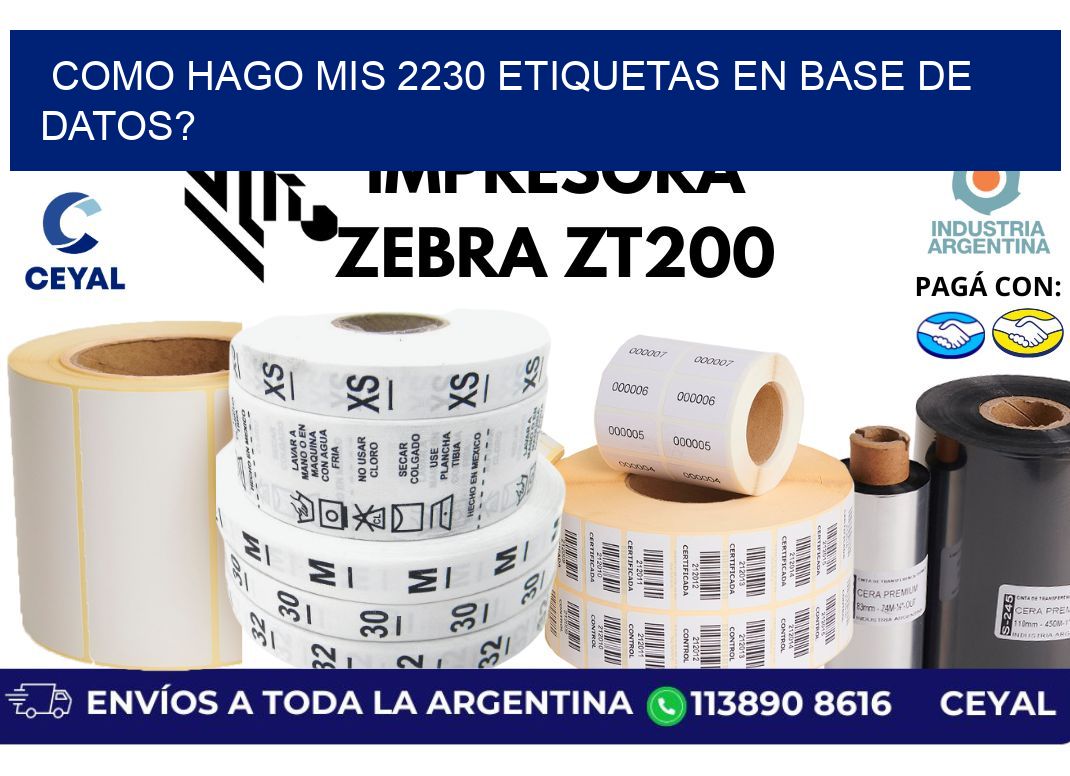 como hago mis 2230 etiquetas en base de datos?