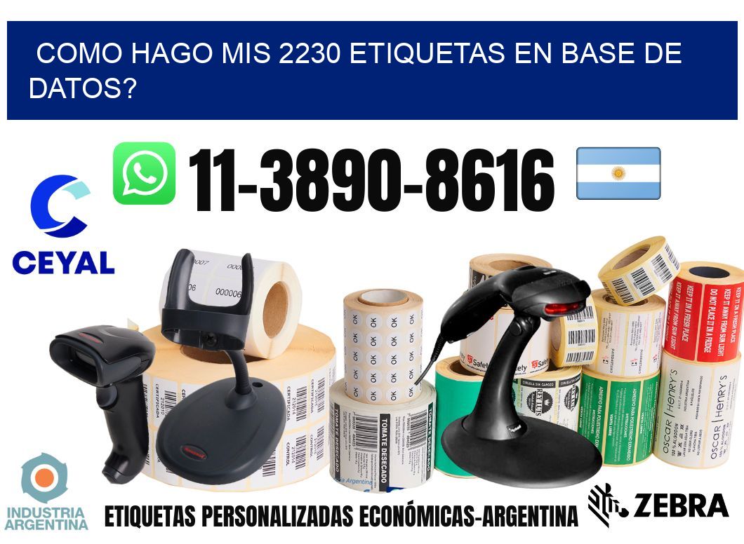 como hago mis 2230 etiquetas en base de datos?
