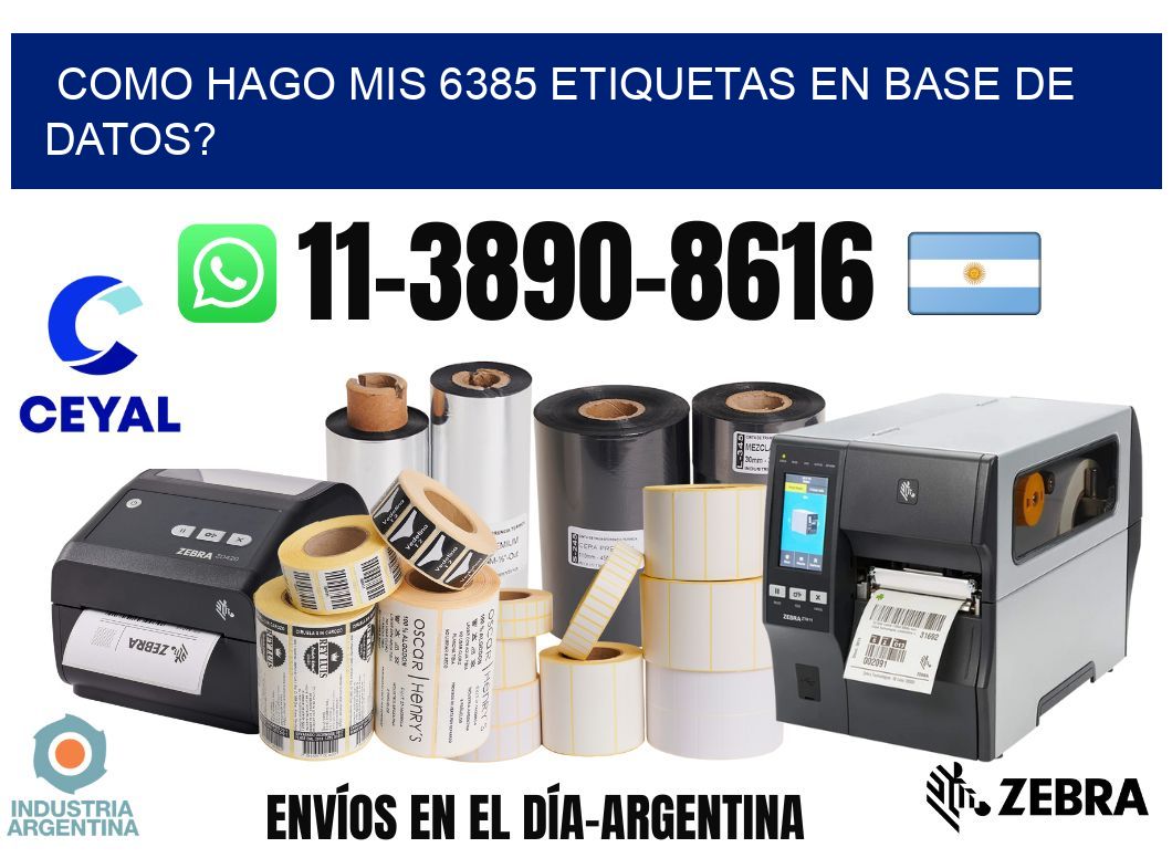 como hago mis 6385 etiquetas en base de datos?