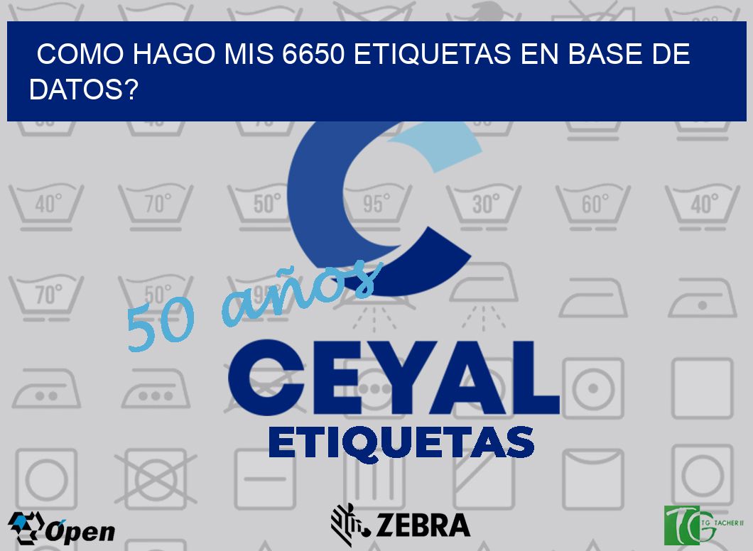 como hago mis 6650 etiquetas en base de datos?