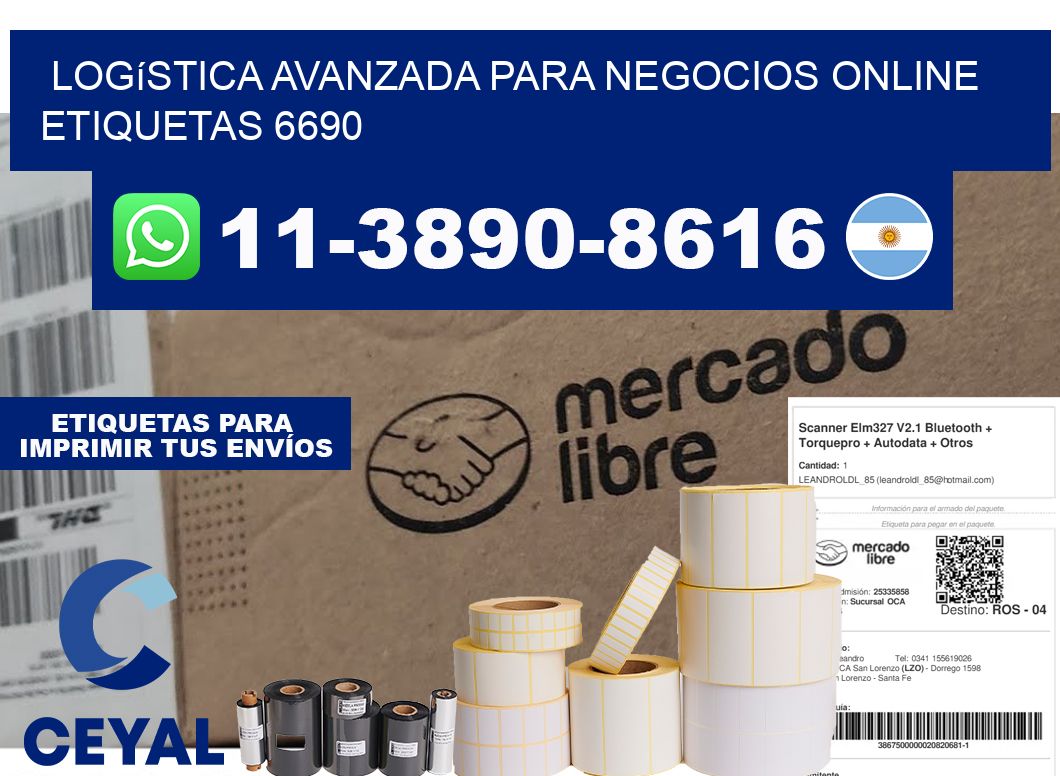 Logística avanzada para negocios online  etiquetas 6690