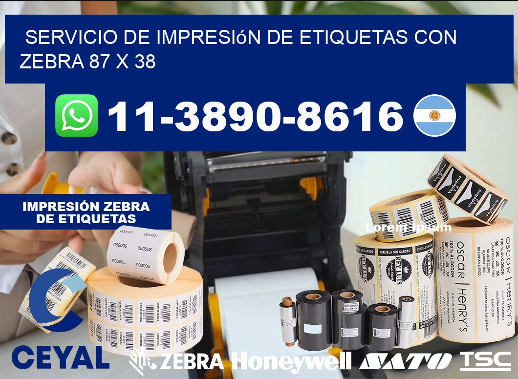 servicio de impresión de etiquetas con Zebra 87 x 38