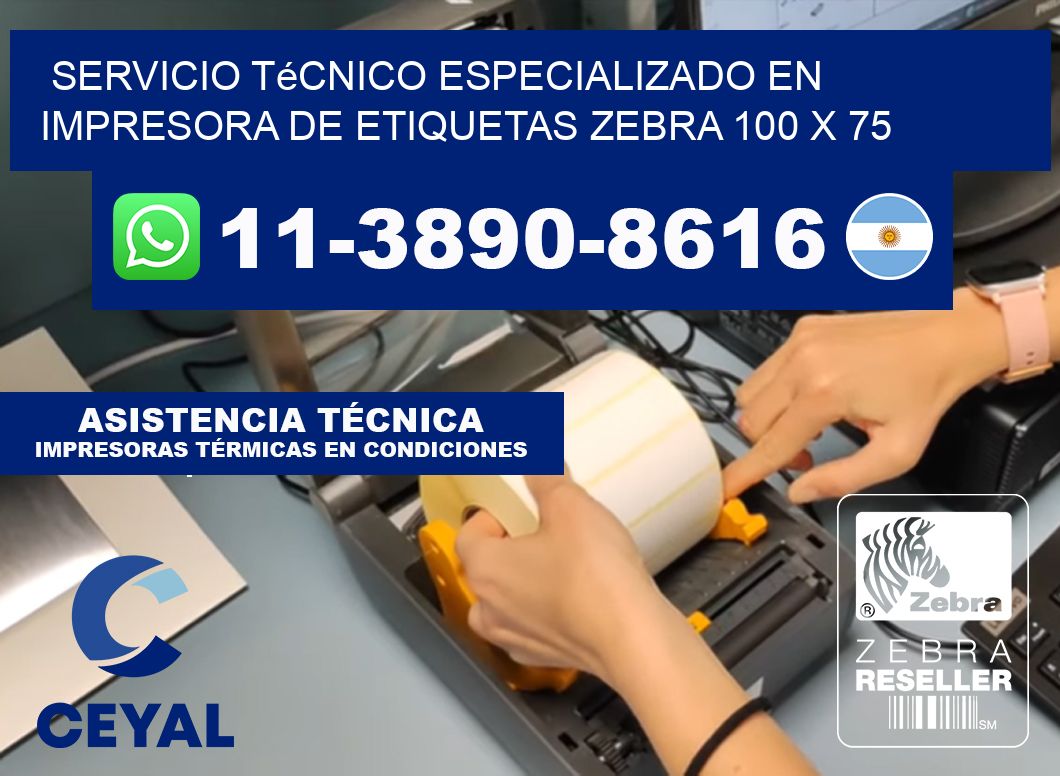 Servicio Técnico Especializado en Impresora de Etiquetas Zebra 100 x 75
